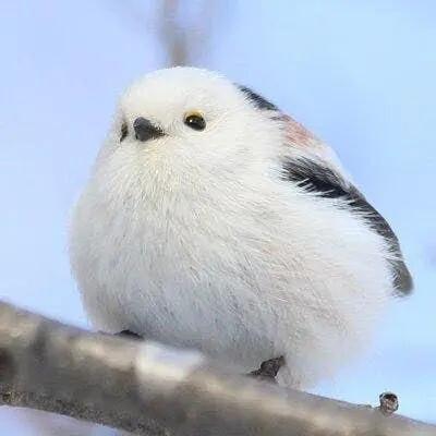 src=http___c-ssl.duitang.com_uploads_item_201911_17_20191117000353_xwolr.thumb.400_0.jpg&refer=http___c-ssl.duitang.jpg